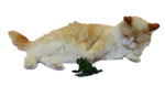 Rupert the Cat